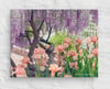 Chinese Wisteria and Peach Irises - 11” X 14” Canvas Print