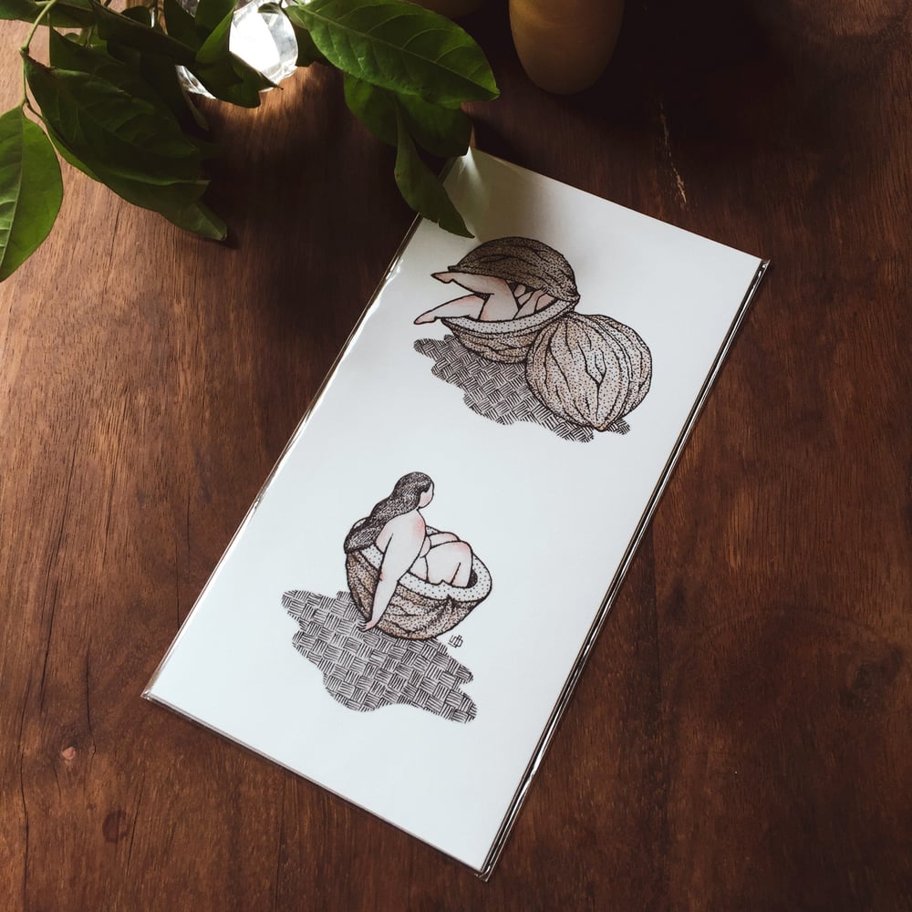 Image of Art Print 'Walnutted'