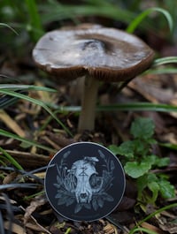 Image 2 of 'Meow' - Sticker