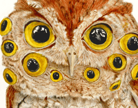 Image 3 of Giclée Print 11"x14" Multiple Eye Owl 