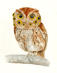 Image 1 of Giclée Print 11"x14" Multiple Eye Owl 