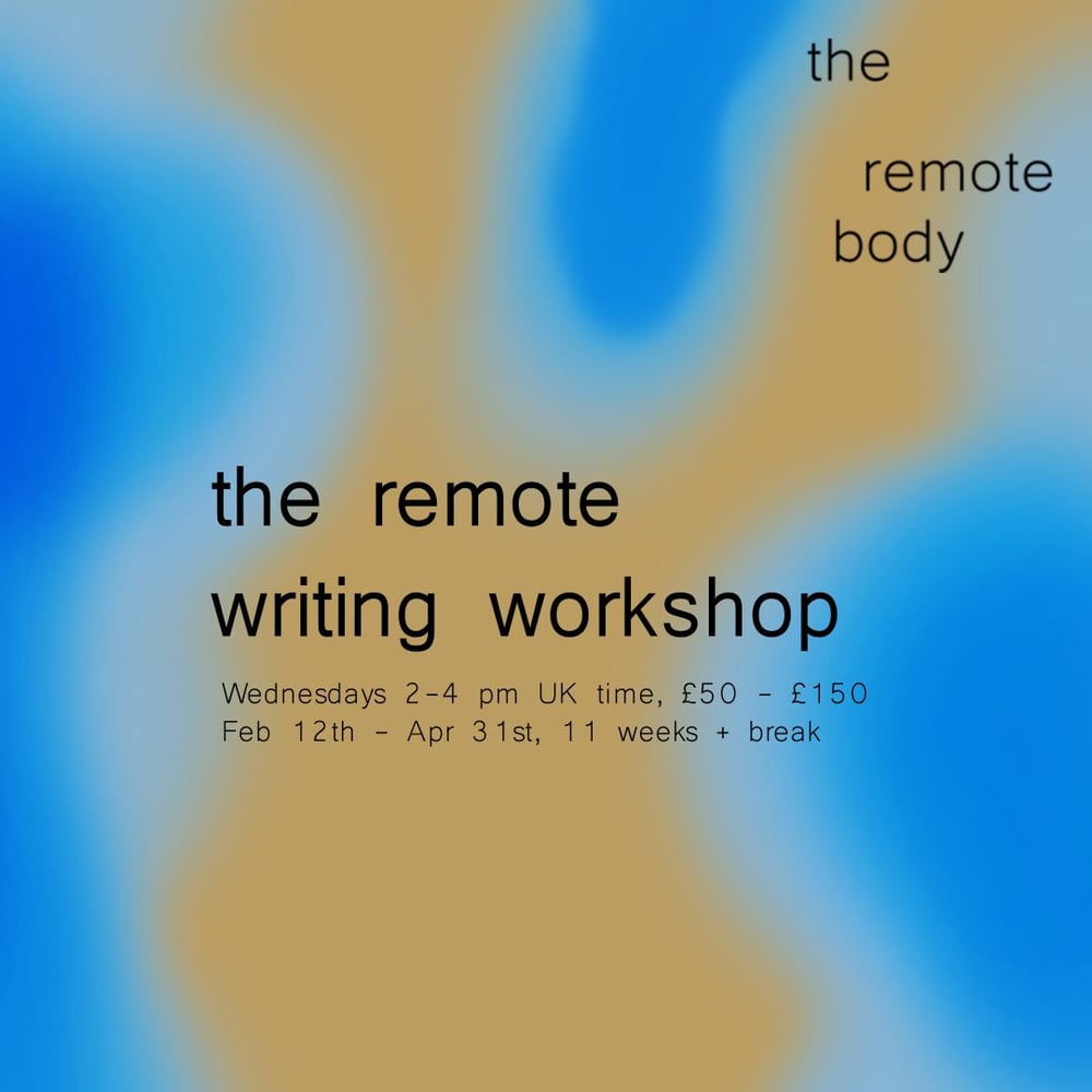 Image of the remote body writing workshop 