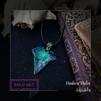 Image 15 of ☽ Hedera Helix ☾