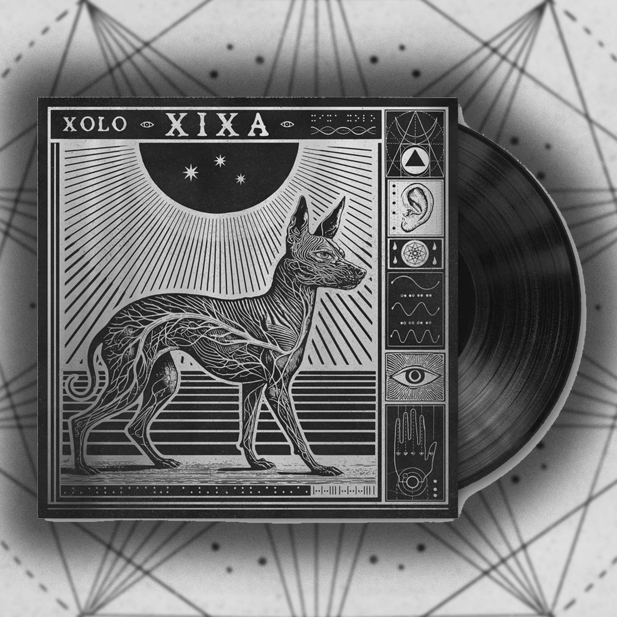 Image of XOLO Black Vinyl