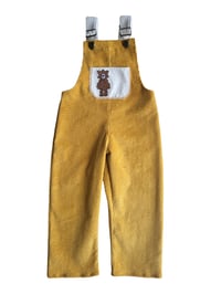 Little Bear Dungarees 