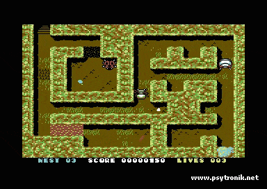 Image of Ladybird (C64 Tape)