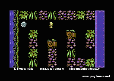 Image of Avalan + Ladybird Dual C64 Cartridge