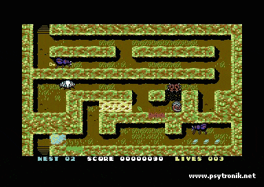 Image of Avalan + Ladybird Dual C64 Cartridge