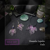 Image 1 of 🜧 Humulus Viola 🜧