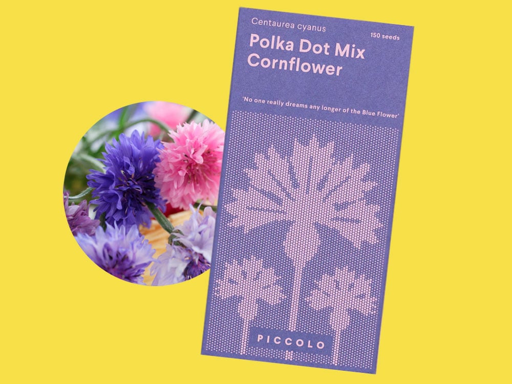 Image of SAATGUT Polka Dot Mix Cornflower