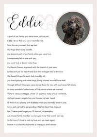 Image 1 of Personalised rhyme bereavement (pet)