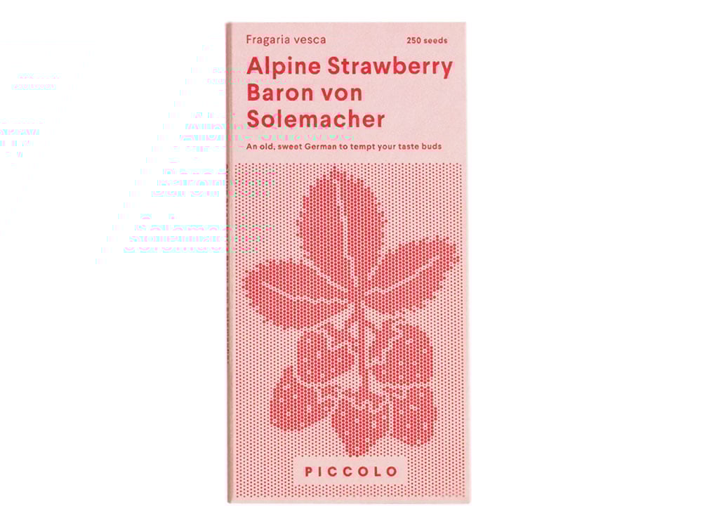 Image of SAATGUT Alpine Strawberry Baron von Solemacher