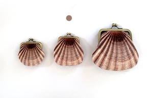 Image of Seashell printed velvet coin purse