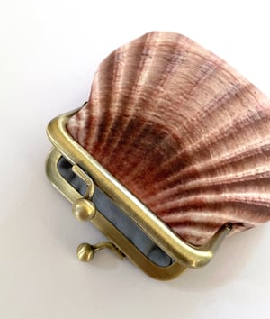 Image of Seashell printed velvet coin purse