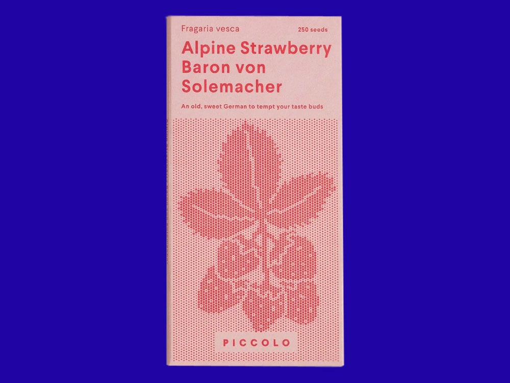 Image of SAATGUT Alpine Strawberry Baron von Solemacher