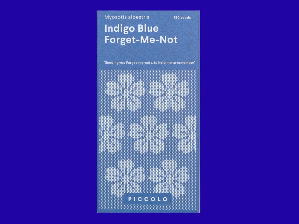 Image of SAATGUT Indigo Blue Forget-Me-Not