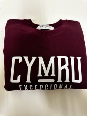 Image of CYMRU EXCEPCIONAL  Authentic  Sweatshirt in Burgundy and Bottle Green 