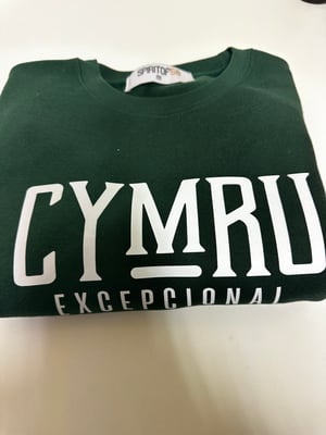 Image of CYMRU EXCEPCIONAL  Authentic  Sweatshirt in Burgundy and Bottle Green 