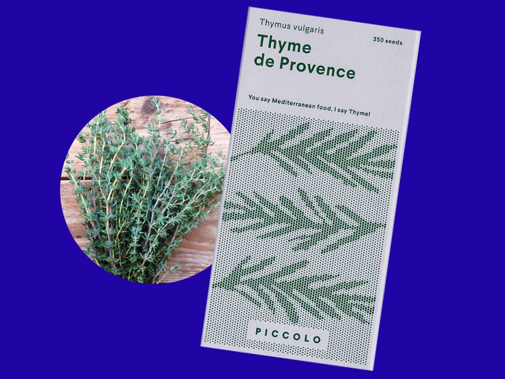 Image of SAATGUT Thyme de Provence