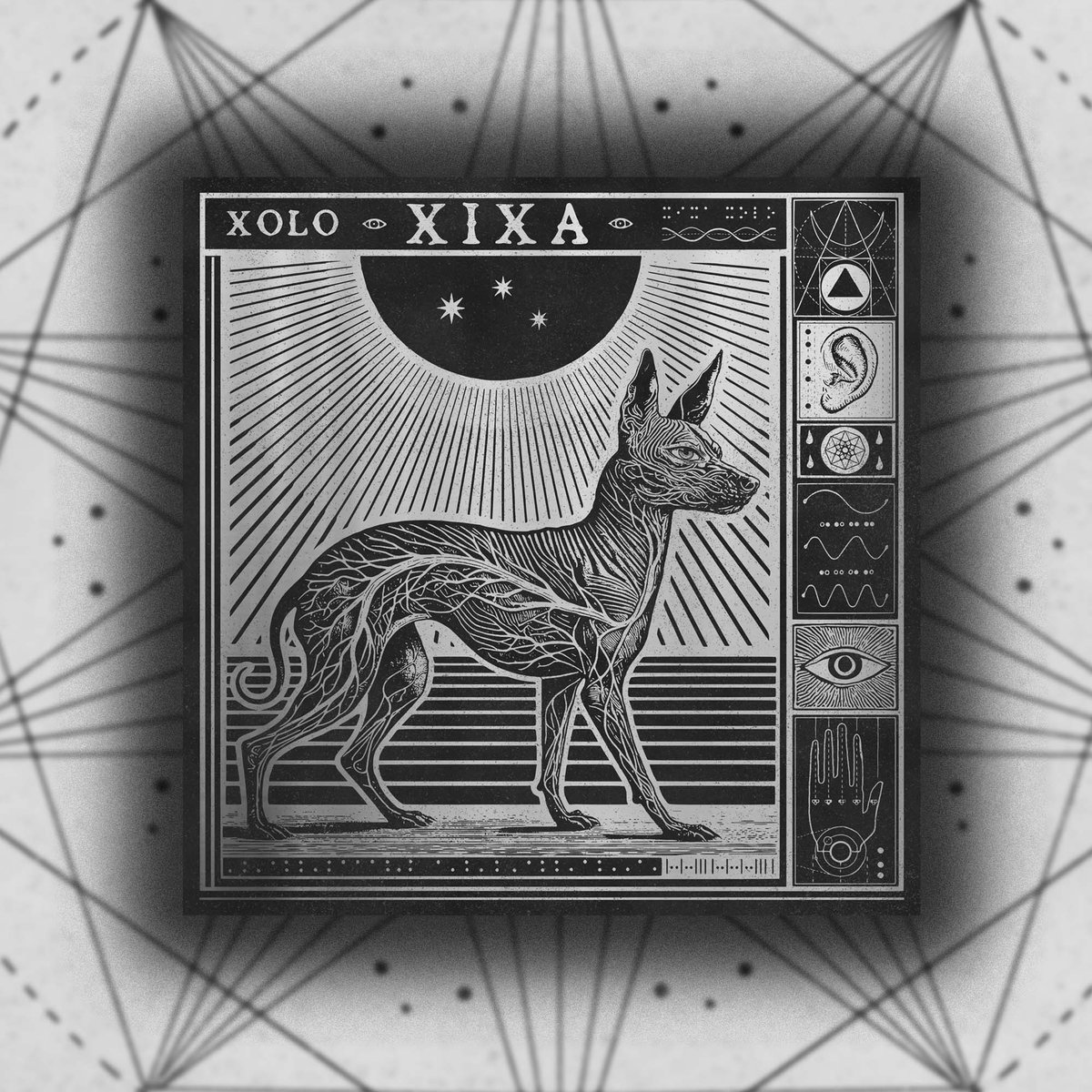 Image of XOLO CD