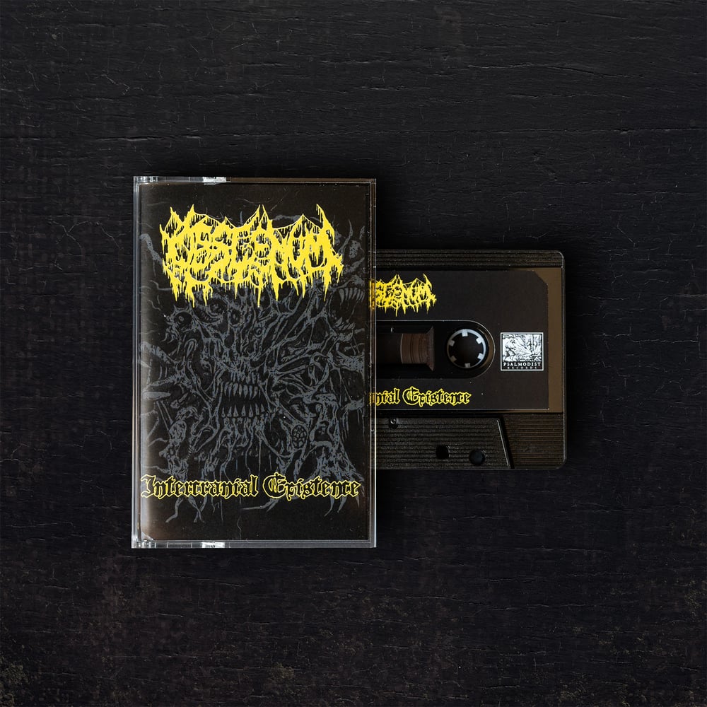 Obscenum – Intercranial Existence