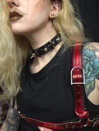 Image 2 of Guard Dog Collar Silver