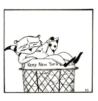 trashy raccoon