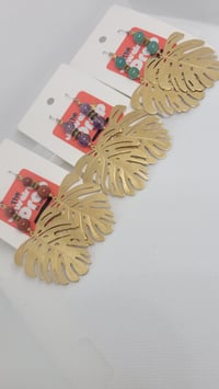 Image of Monstera brass