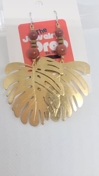 Image of Monstera brass