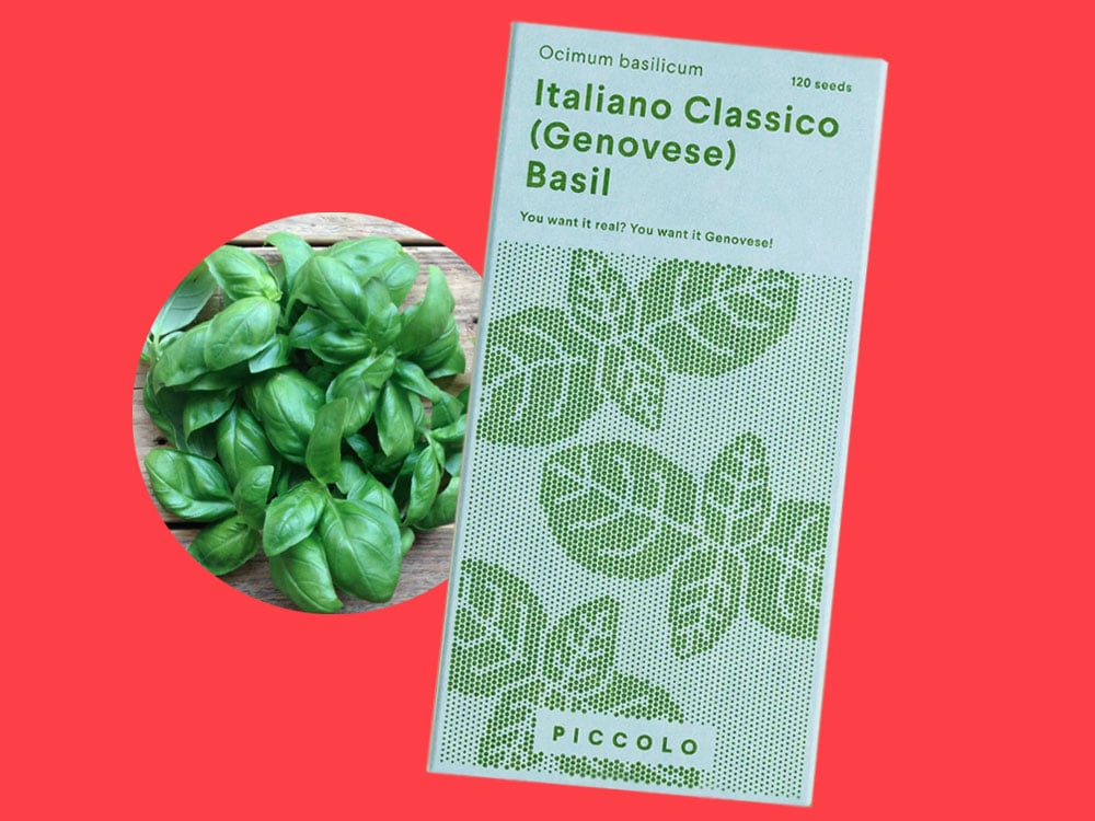 Image of SAATGUT Italiano Classico (Genovese) Basil