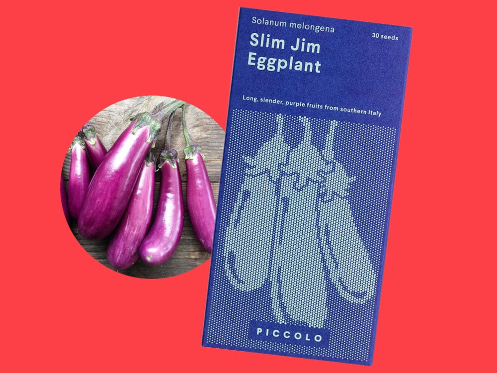 Image of SAATGUT Slim Jim Eggplant