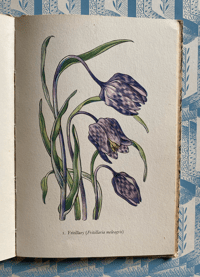 Image 8 of Flowers of the Meadow vintage King Penguin book