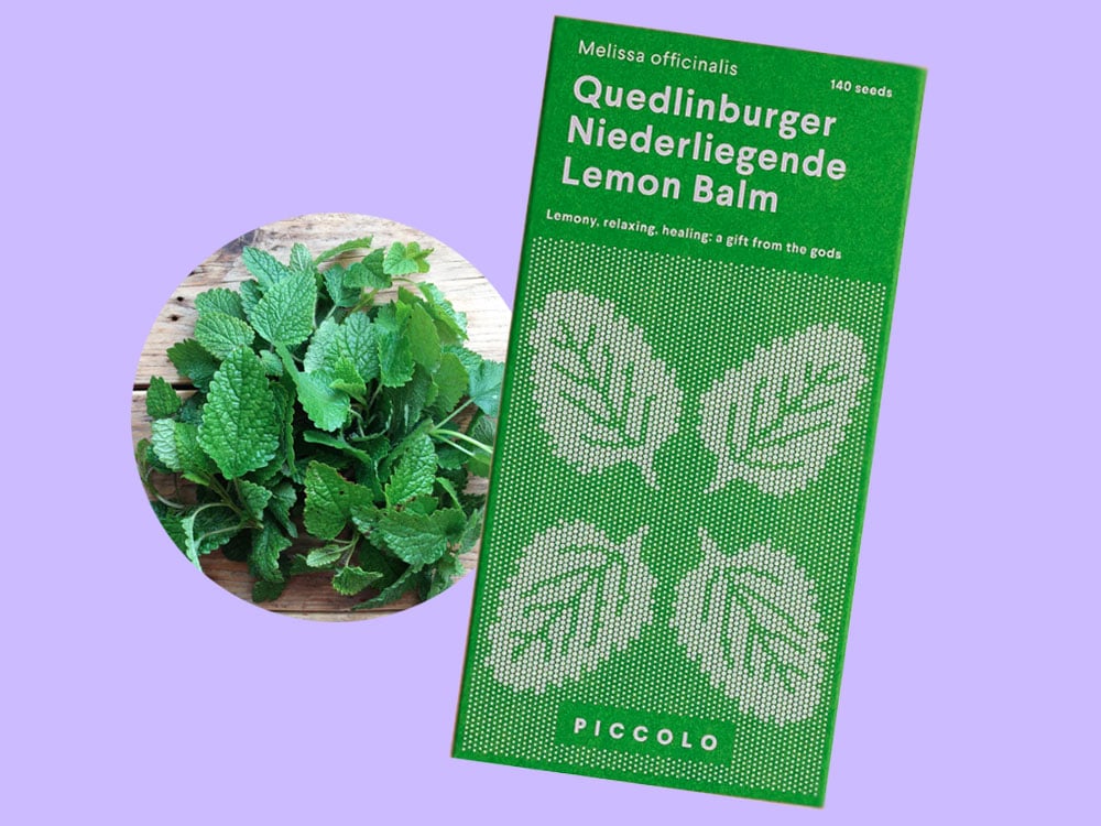 Image of SAATGUT Quedlinburger Niederliegende Lemon Balm