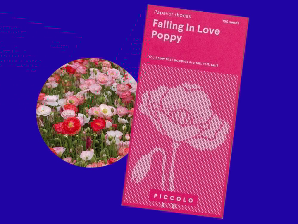Image of SAATGUT Falling in Love Poppy