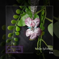 Image 8 of ☽ Malus Sylvestris ☾