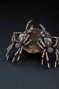 Image 1 of BIG SPIDER Ear Weights - Stainless Steel - Big Ear Hangers - Weights for Stretched Ears - Tarantula 