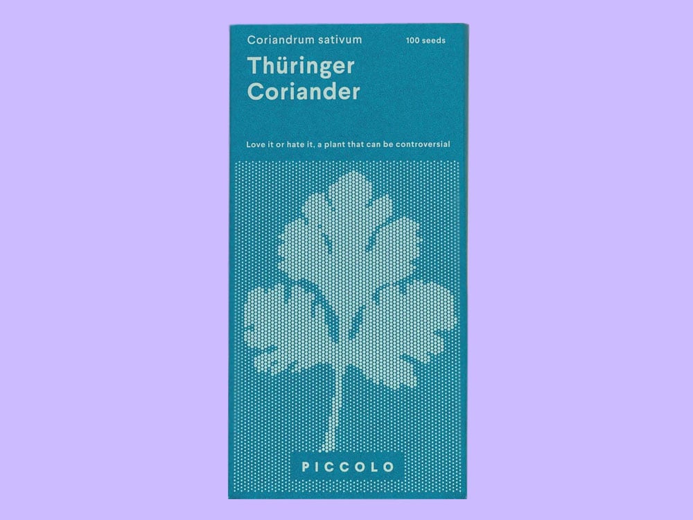 Image of SAATGUT Thüringer Coriander