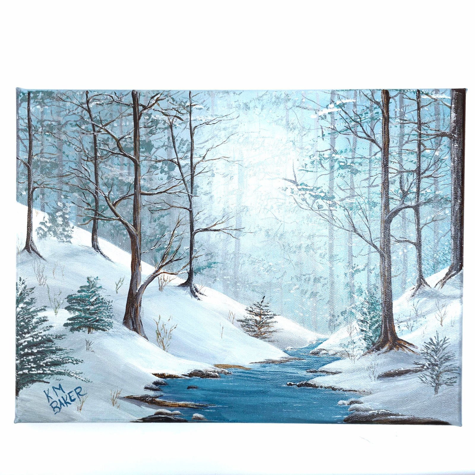 Winter Brook - 16
