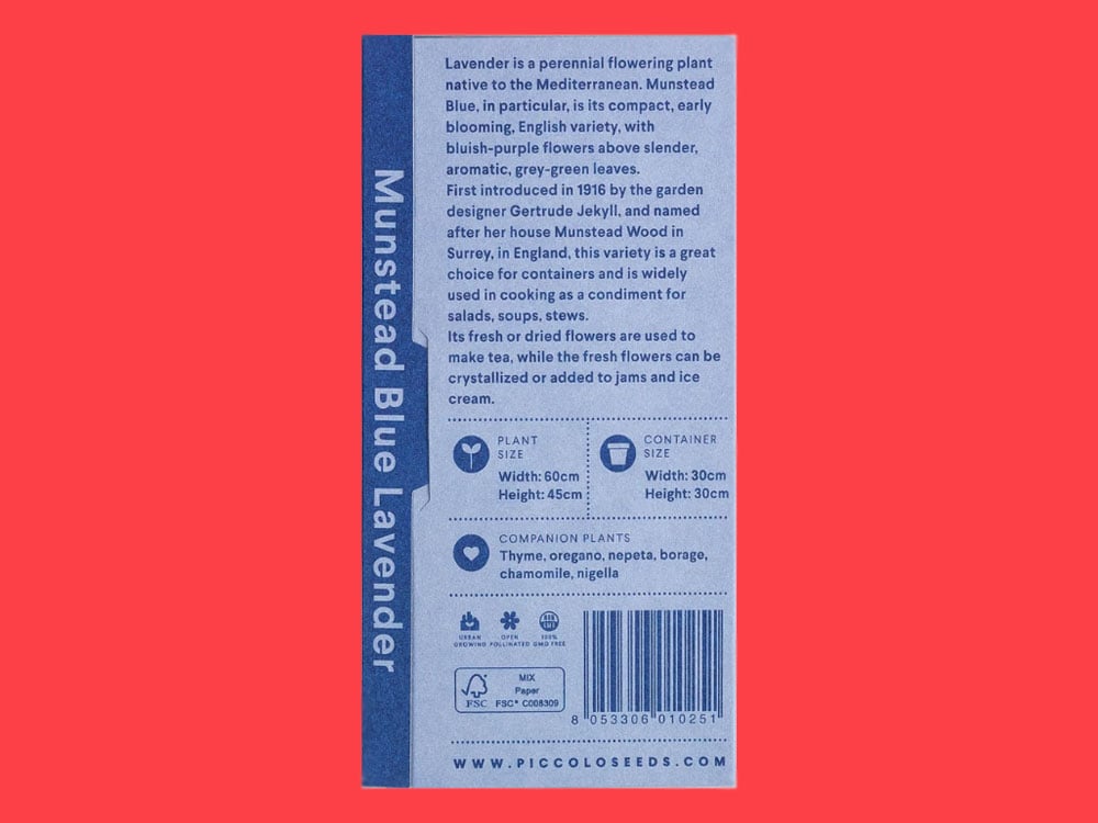 Image of SAATGUT Munstead Blue Lavender
