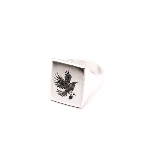 Image of Raven Signet