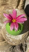 Shimmering Faerie Bath Bomb, Faerie Charm Inside