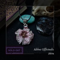 Image 4 of ☽ Althea Officinalis ☾