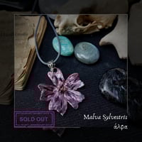 Image 3 of ☽ Malva Sylvestris ☾