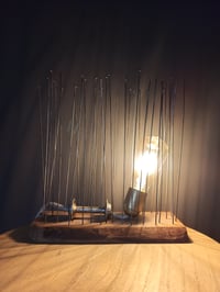 Image 1 of LAMP