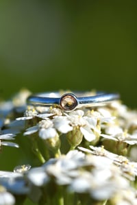 Image 1 of Pink Montana Sapphire Band | Size 4.5