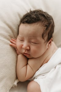 Image 2 of 2026 Newborn Timeless Collection (RETAINER)