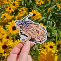 Chicory Toad Sticker