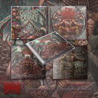 Decline of Order - Interpretations of Psychopathic Ideation Jewel Case CD