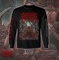Decline of Order - Interpretations of Psychopathic Ideation Long Sleeve T-Shirt