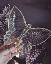 Image 2 of Butterfly dish